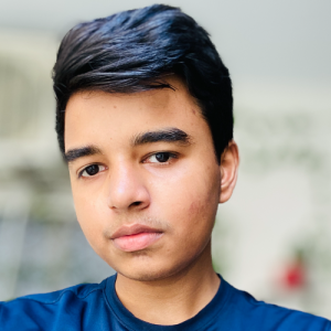 Ali Tanveer-Freelancer in Karachi,Pakistan