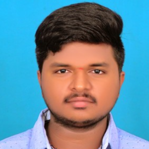 Lakshminarayana Chintha-Freelancer in Dharmavaram,India