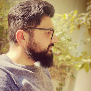 Ameer Hamza-Freelancer in Hasan Abdal,Pakistan