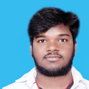 Krish Kumar-Freelancer in Patna,India