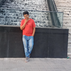 Aneesh Singh-Freelancer in Prayagraj,India