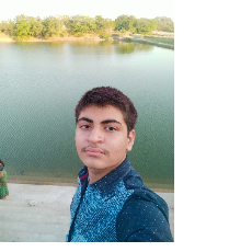 Denis Ruparel-Freelancer in Anand,India