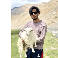 Himad Khan-Freelancer in Srinagar,India