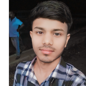 Vivek Kumar Ranjan-Freelancer in Bihar,India