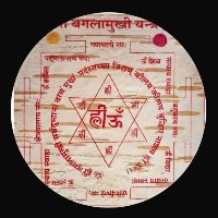 Nandini Sharma-Freelancer in Agra Division,India