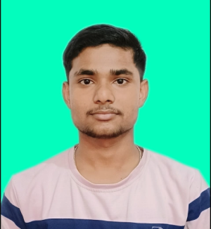 Nitish Kumar-Freelancer in Patna,India