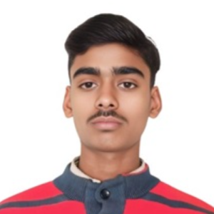 Md Hamid Karim-Freelancer in Patna,India
