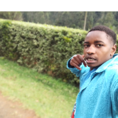 Kelvin Thuo-Freelancer in Kairuthi,Kenya