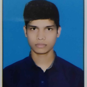 Abhimanyu kumar-Freelancer in Harnaut,India