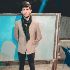 Naveed Bukhari-Freelancer in Multan,Pakistan