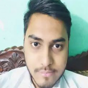 Umar Shaikh-Freelancer in gujarat,India