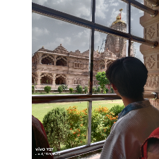 Mayur Arya-Freelancer in Indore,India