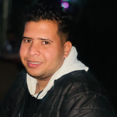 Mostafa Hamza-Freelancer in Sohag,Egypt