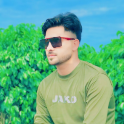 Muhammad Farooq Sadiq-Freelancer in pattoki,Pakistan