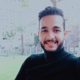 Ebrahim Hegazy-Freelancer in ,Egypt