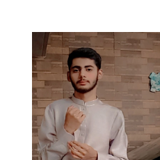 Ali Abdullah-Freelancer in Lahore,Pakistan