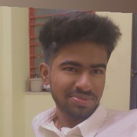Prince Karthik-Freelancer in Nagpur Division,India