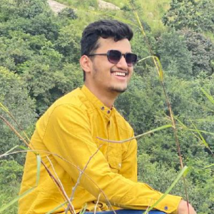 Faraz Sheikh-Freelancer in Nagpur,India