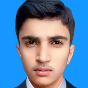 Muhammad Awais-Freelancer in Multan,Pakistan