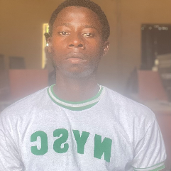 Mustapha Balarabe-Freelancer in Rigachikun,Nigeria