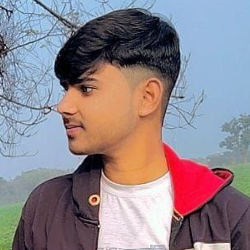 Raju Shakya-Freelancer in Agra,India
