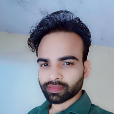 Vivek Kumar Parashar-Freelancer in Palwal,India