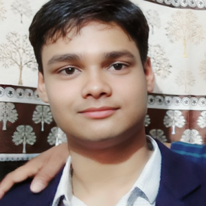 Beast Gamer-Freelancer in Jaipur,India