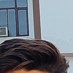 Ankush Kashyap-Freelancer in Shimla,India