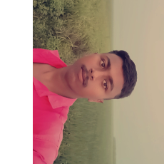 Harichandra Chauhan-Freelancer in Chandauli,India