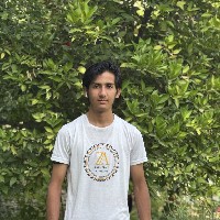 Mehdi Hussain-Freelancer in ,Pakistan