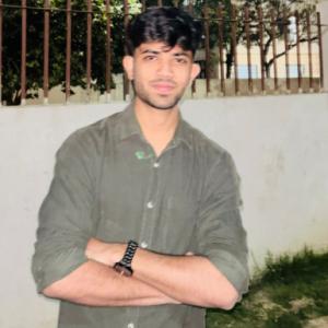 Ali Ahmed-Freelancer in Chicholi,India