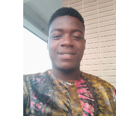 Félix Semalon-Freelancer in Cotonou,Benin