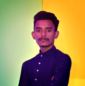 shailesh-Freelancer in Ahmedabad,India