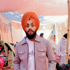Wmk Mehar Kar-Freelancer in Jalandhar,India