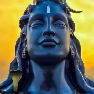 Shakshi Sharma-Freelancer in Ajeetgarh,India