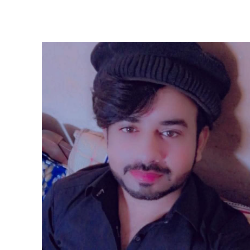 Syed Zulfiqar Haider-Freelancer in Dunyapur,Pakistan