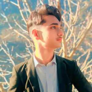 Ali Raza Butt-Freelancer in Muzaffrabad,Pakistan