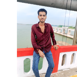 Ankit Raj-Freelancer in Deuria,India