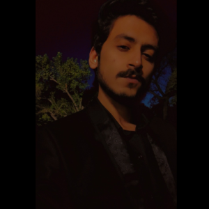 Bilal Qureshi-Freelancer in Lahore,Pakistan