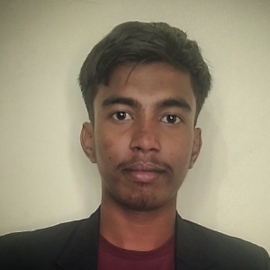 Mohit Hosmani-Freelancer in gulbarga,India