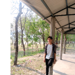 Saugatchettri-Freelancer in Birtamod,Nepal