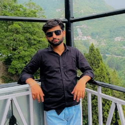 Arun Verma-Freelancer in Agra,India