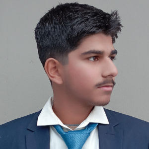 Talha Zaman-Freelancer in gujrat,Pakistan