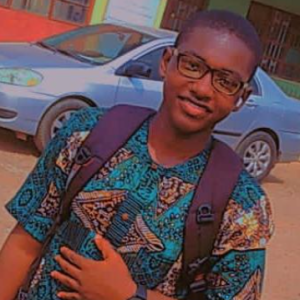 Charles Akinlesi-Freelancer in Lagos,Nigeria