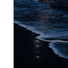 Shazia-Freelancer in Hyderabad,India