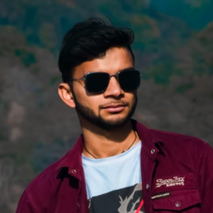 Pranshu Chauhan-Freelancer in Moradabad,India