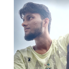 Sheredil Ansari-Freelancer in Balrampur,India