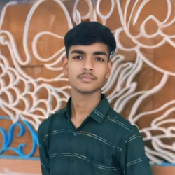 Ayush Singh-Freelancer in Hazaribagh,India