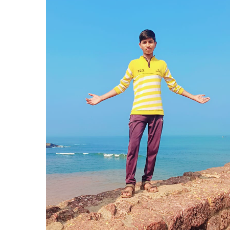 Harshad Kadam-Freelancer in Dhanora,India