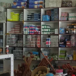 Prof Hamidu Ranaka-Freelancer in Bloemfontein,South Africa